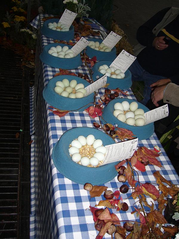 Hannover 2008 114.jpg - Eierausstellung